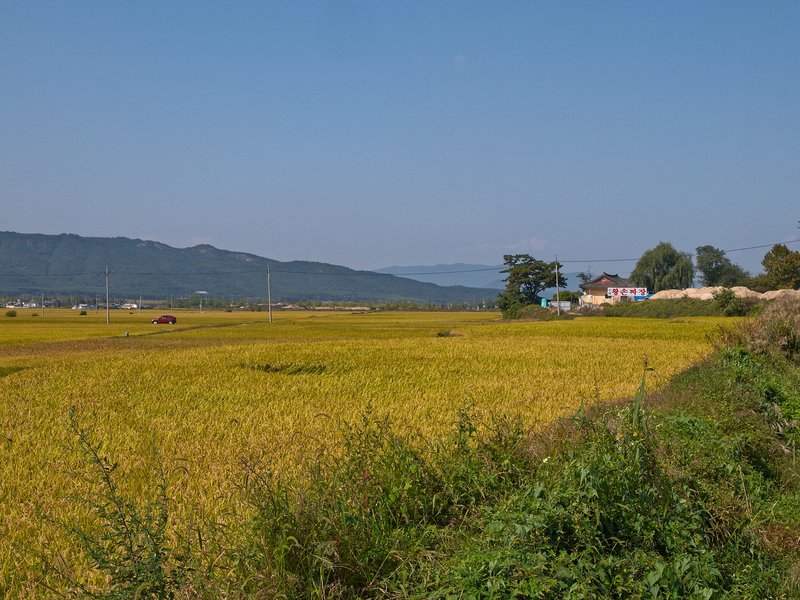 Gyeongju